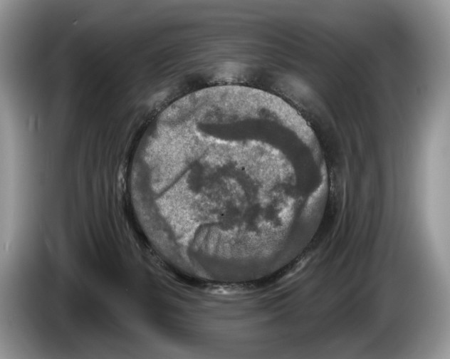 X0000086270127200704262024