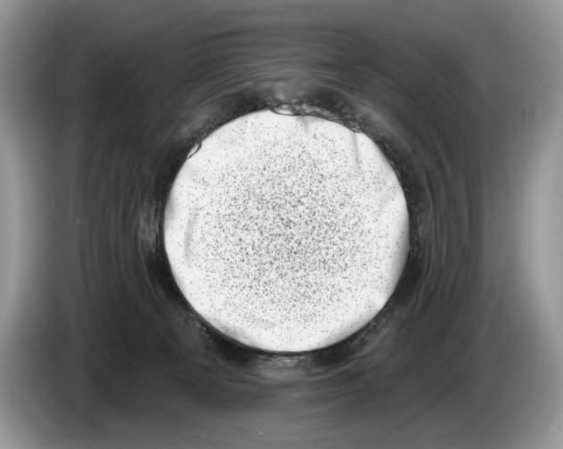 X0000086270129200704262024