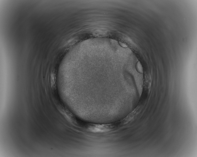 X0000086270130200704262024