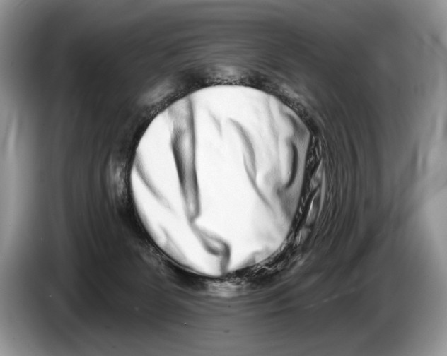 X0000086270131200704262024