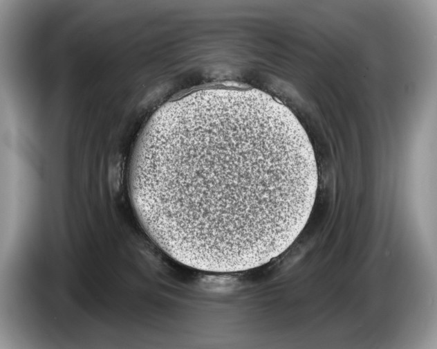 X0000086270133200704262024
