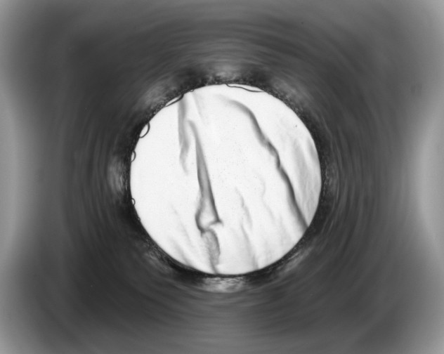 X0000086270135200704262024