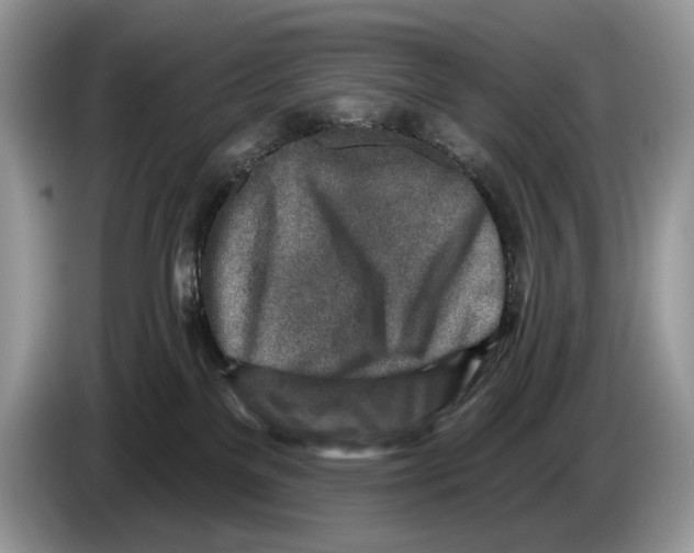 X0000086270137200704262024