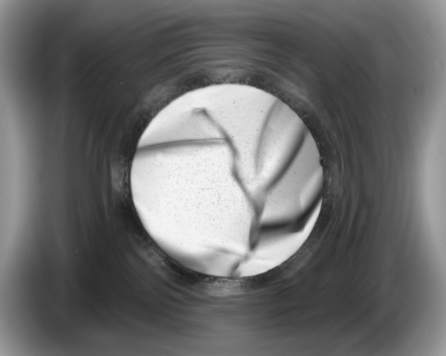 X0000086270138200704262024