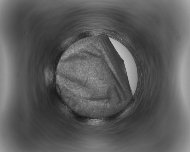X0000086270139200704262024