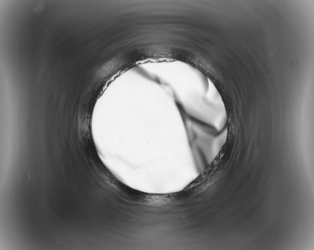 X0000086270141200704262024