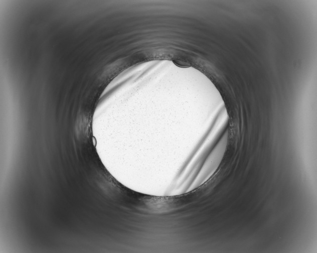 X0000086270142200704262024