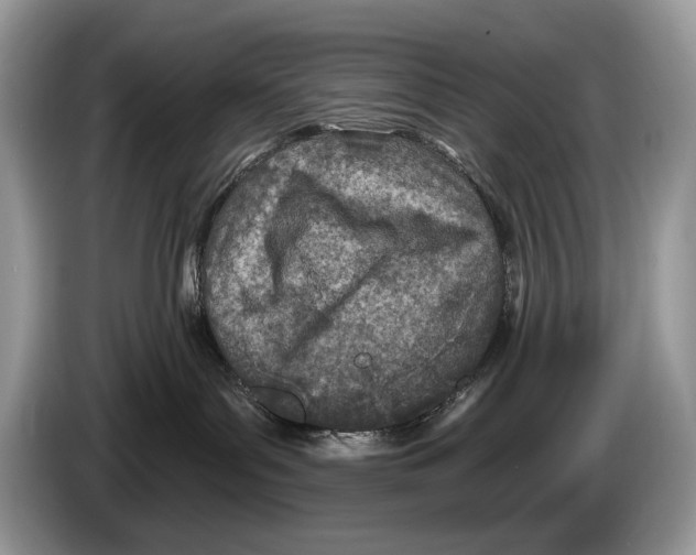 X0000086270143200704262024