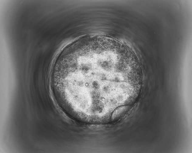 X0000086270145200704262023