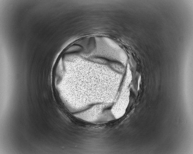 X0000086270148200704262023