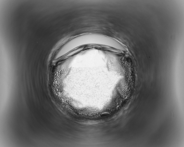 X0000086270149200704262023