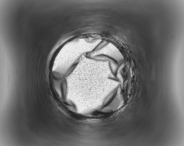X0000086270150200704262023