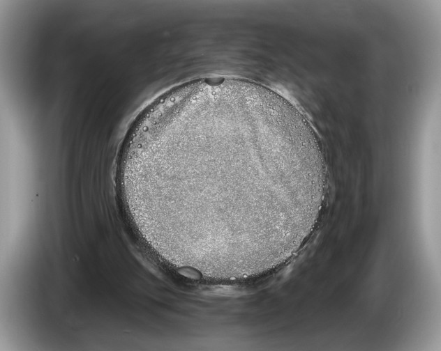 X0000086270151200704262023