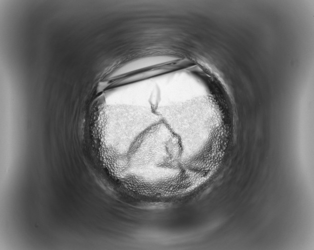X0000086270153200704262023