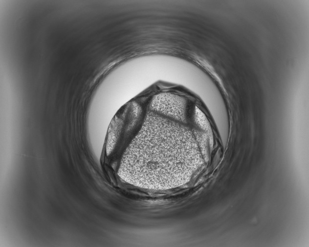 X0000086270154200704262023
