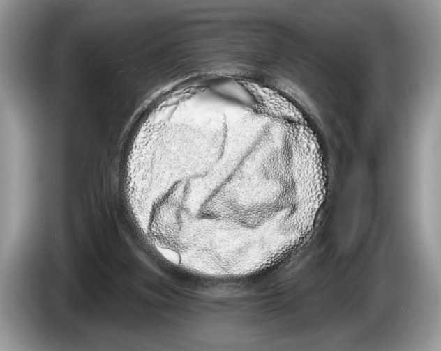 X0000086270155200704262023