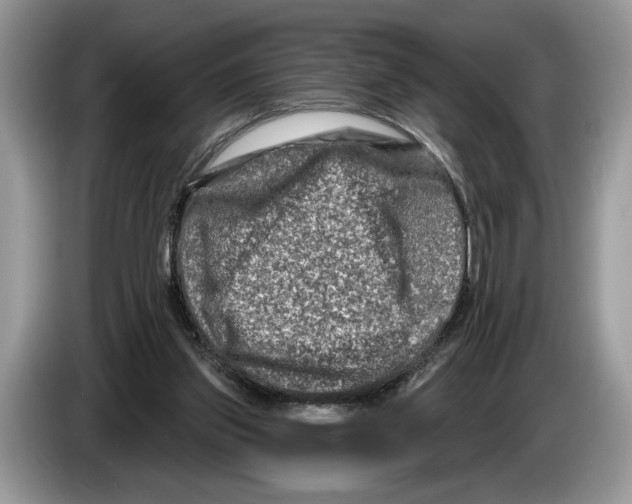 X0000086270157200704262023