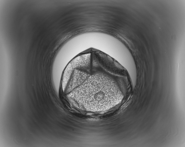 X0000086270158200704262023