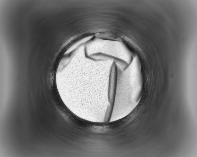 X0000086270160200704262023