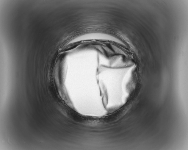 X0000086270161200704262023