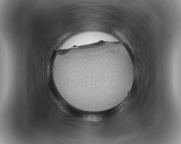 X0000086270163200704262023
