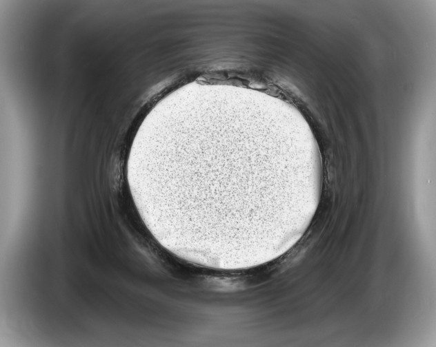 X0000086270164200704262023