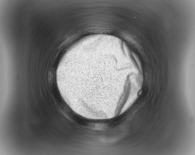 X0000086270165200704262023
