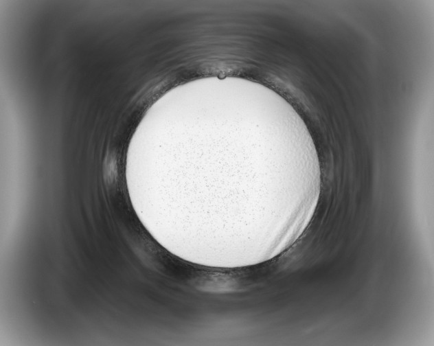 X0000086270166200704262023