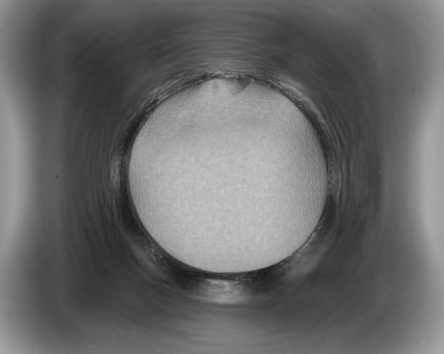 X0000086270167200704262023