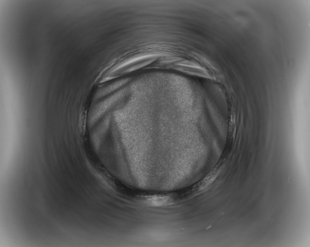 X0000086270168200704262023