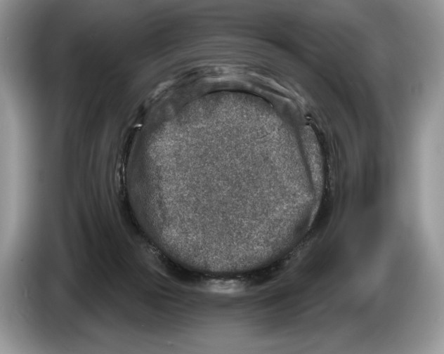 X0000086270169200704262023