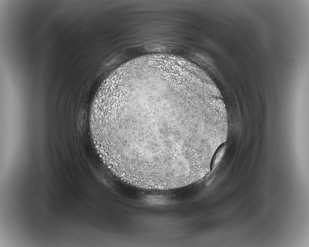 X0000086270171200704262023