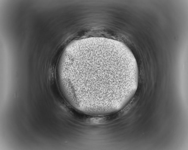 X0000086270172200704262023
