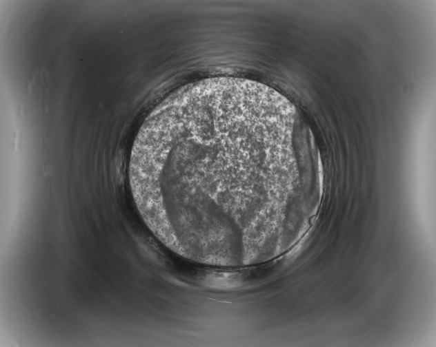 X0000086270174200704262023