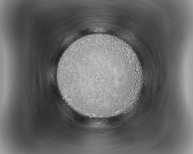 X0000086270175200704262023