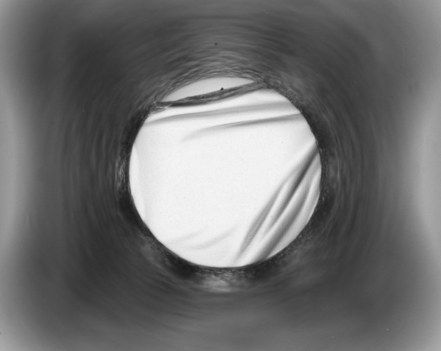 X0000086270177200704262023