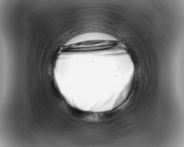 X0000086270178200704262023