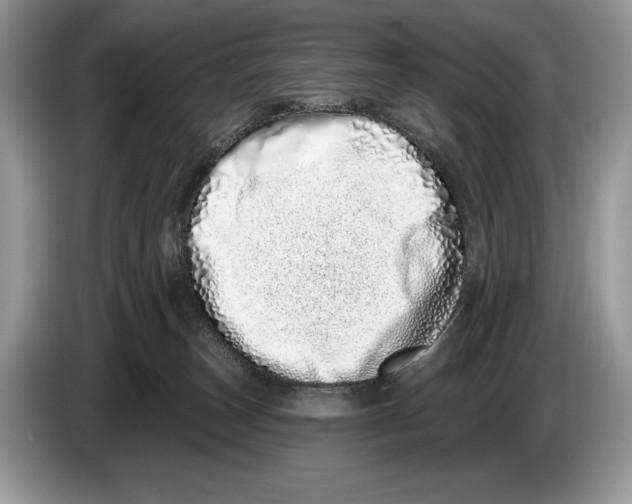 X0000086270179200704262023