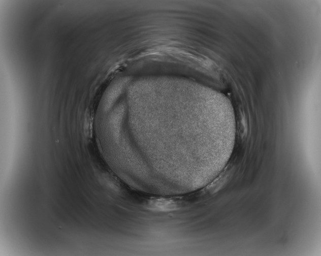 X0000086270180200704262023
