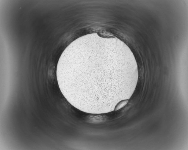 X0000086270181200704262023