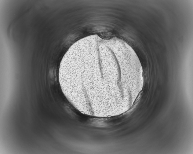 X0000086270182200704262023