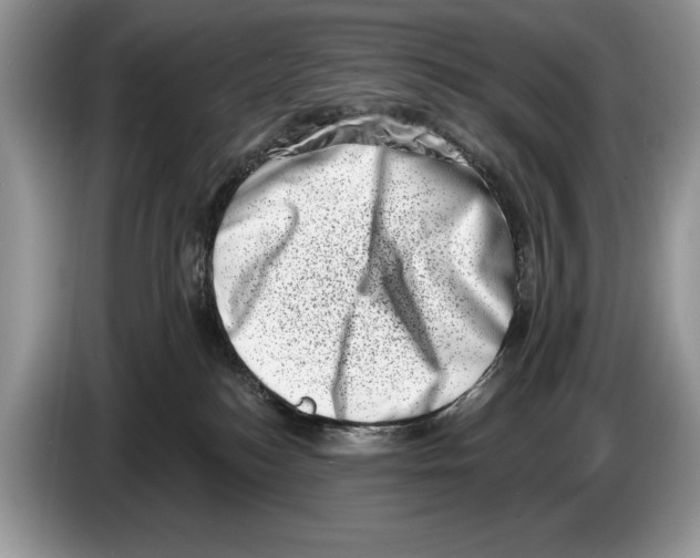 X0000086270184200704262023
