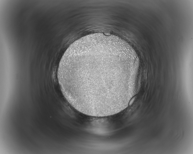 X0000086270185200704262023
