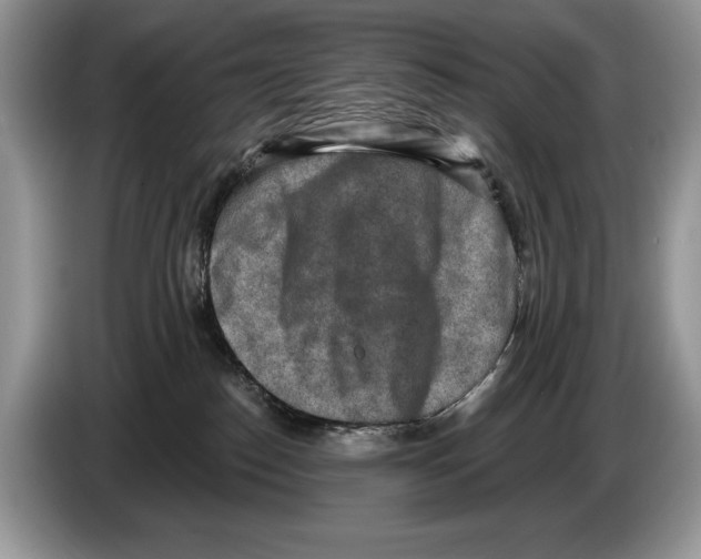 X0000086270186200704262023