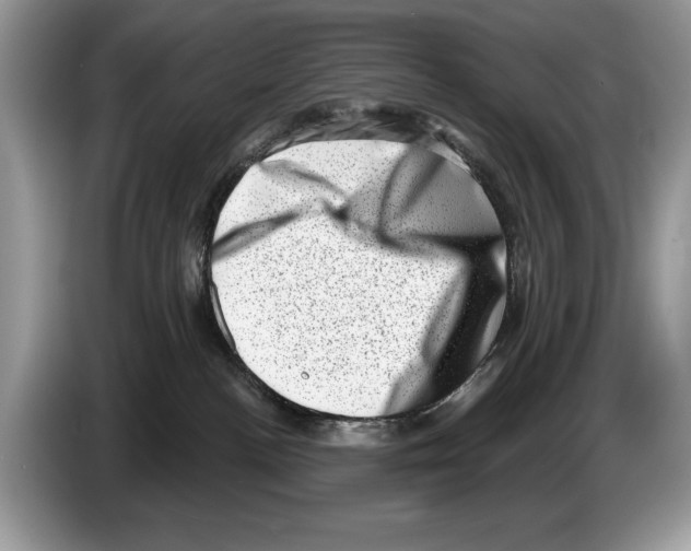 X0000086270188200704262024