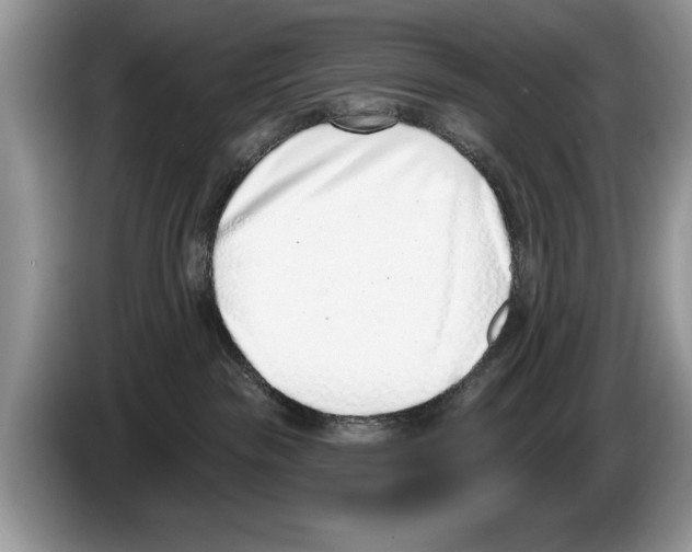 X0000086270189200704262024