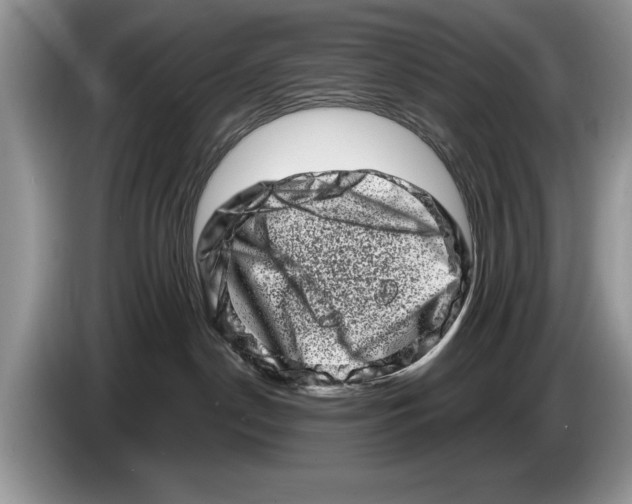 X0000086270190200704262024