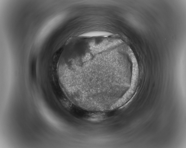 X0000086270191200704262024
