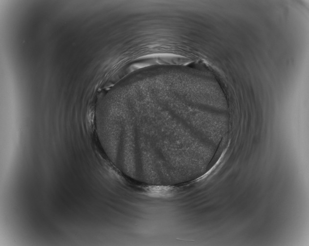 X0000086270192200704262024