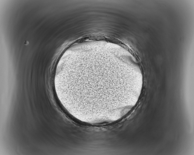 X0000086270193200704262023
